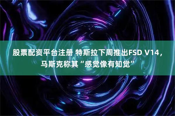 股票配资平台注册 特斯拉下周推出FSD V14，马斯克称其“感觉像有知觉”