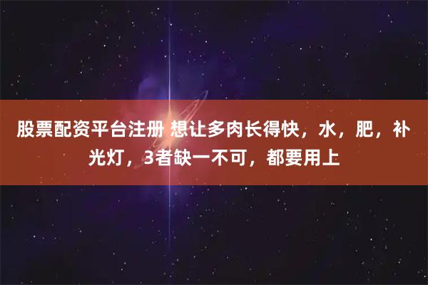 股票配资平台注册 想让多肉长得快，水，肥，补光灯，3者缺一不可，都要用上